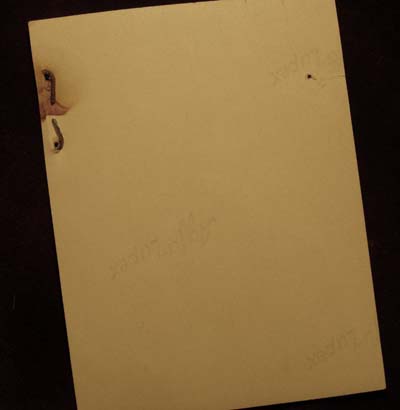 SS-Standartenfuhrer File / Membership Book Photograph.