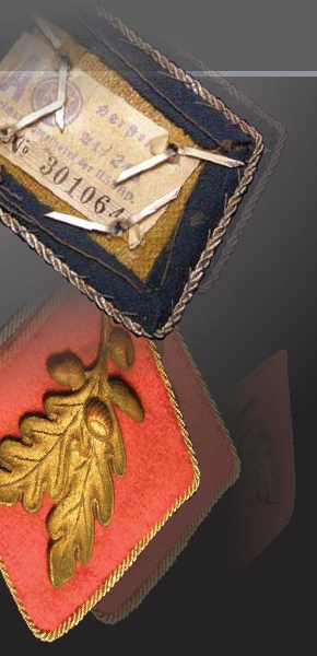 Political Insignia