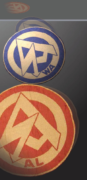 SA Sports Insignia