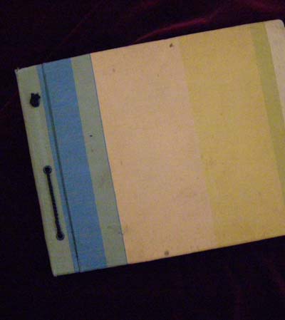 Allgemeine-SS Photograph Album for SS-Standarte 29 'Fussen'.
