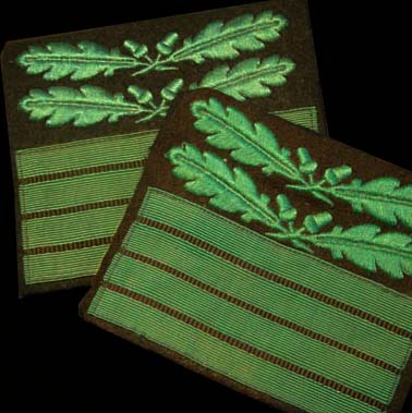  Waffen-SS 'Camo' Rank Patches. Standartenfuhrer.