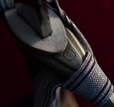 SS Officer Sword | LAH Musicmeister Muller-John | Provenance.